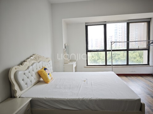 整租·君地新大陆 1室1厅 南