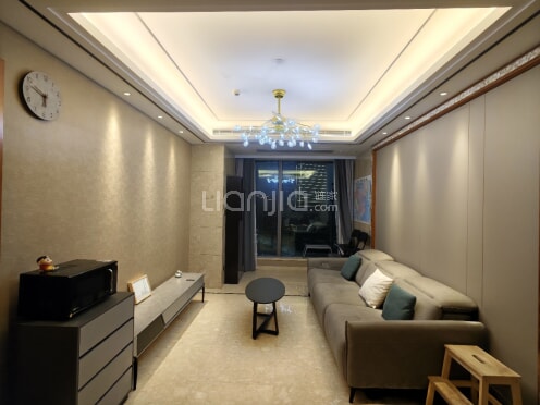 整租·苏州中心 2室1厅 南