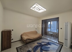 整租·杏园新居 2室2厅 南_杏园新居租房