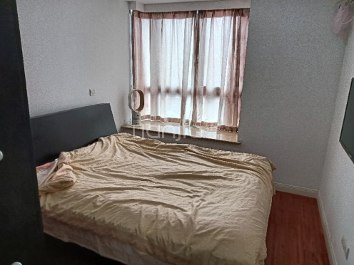 整租·中远两湾城 1室1厅 南