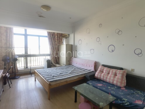 整租·樾河南路863号昆山商厦领里广场 1室1厅 南