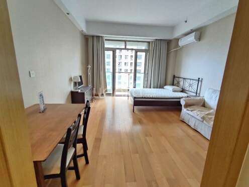 整租·新湖明珠城大公馆 1室1厅 北