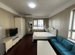 整租·华创观礼中心 1室1厅 西北_华创观礼中心租房