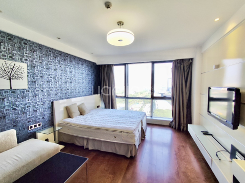 整租·乐嘉大厦 1室1厅 东