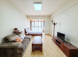 整租·红墙国际 1室1厅 南_红墙国际租房