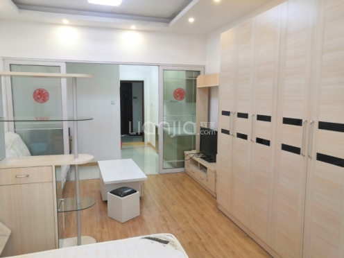 整租·领峯国际 1室1厅 南