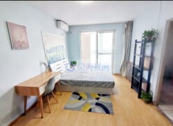 整租·左安浦园 1室0厅 北_左安浦园租房