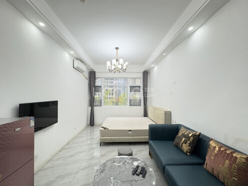 整租·洲际健康城 1室1厅 东南