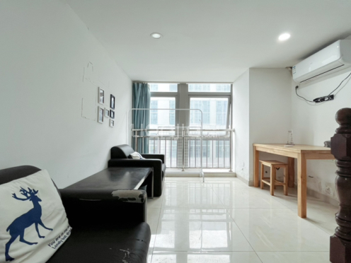 整租·星光耀商业广场 2室1厅 复式 南