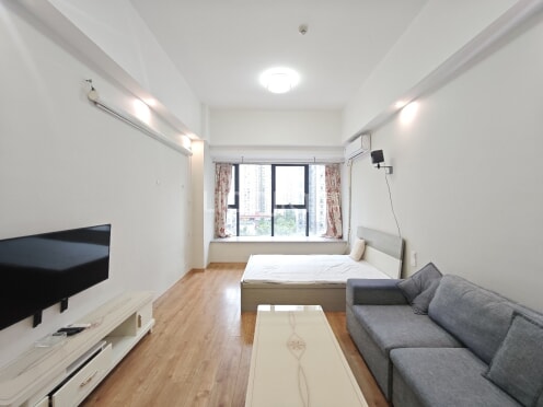 整租·新尚天地 1室1厅 东南