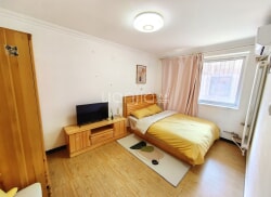 整租·幸福一村西里 1室1厅 南_幸福一村西里租房