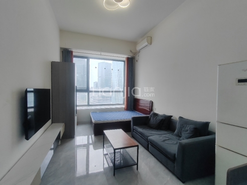 整租·济南置地广场 1室1厅 北