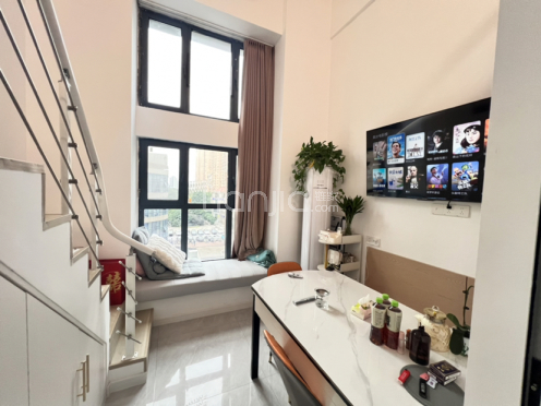 整租·恒业站前广场 1室1厅 复式 西