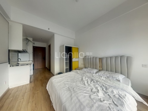 整租·金茂领寓A5 1室1厅 南