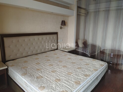 整租·雅都大厦 1室1厅 南