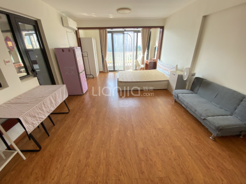 整租·中德英伦世邦L区 2室1厅 南