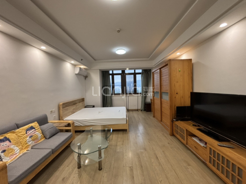 整租·红星国际生活广场 1室1厅 南