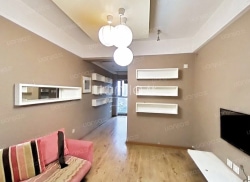 整租·绿野天城 1室1厅 南_绿野天城租房