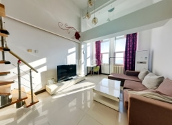 整租·六维极景 1室1厅 南_六维极景租房