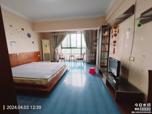 整租·滨江丽景 1室1厅 南