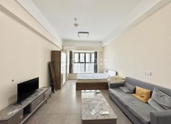 整租·珠江悦湖国际 1室1厅 南_珠江悦湖国际租房