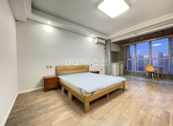 整租·世茂都 1室1厅 北_世茂都租房