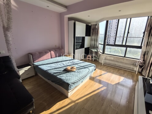 整租·月亮湾大花园 1室1厅 南