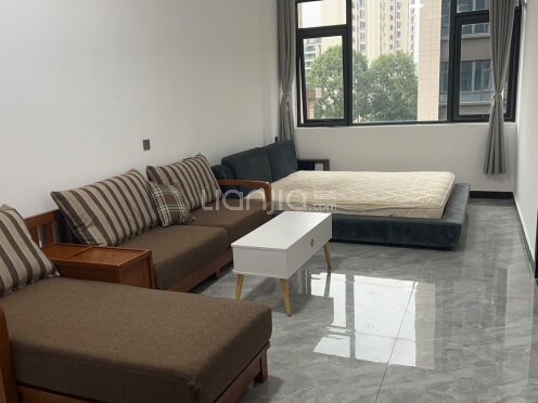 整租·时代金府 1室1厅 西南