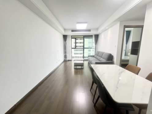 整租·湖东未来 3室2厅 南