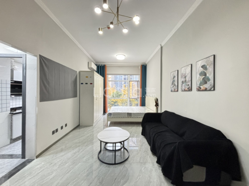 整租·洲际健康城 1室1厅 东南