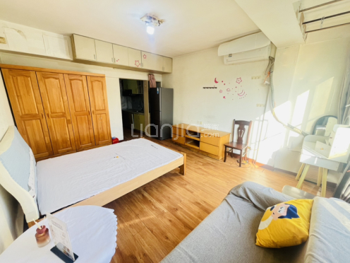 整租·吴中商城 1室1厅 南