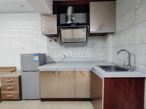 整租·海悦富地中心 2室1厅 南