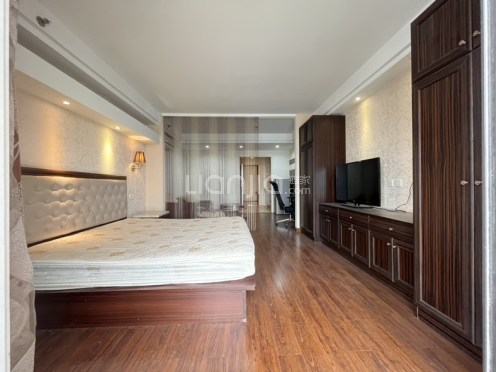 整租·雅都大厦 1室1厅 南