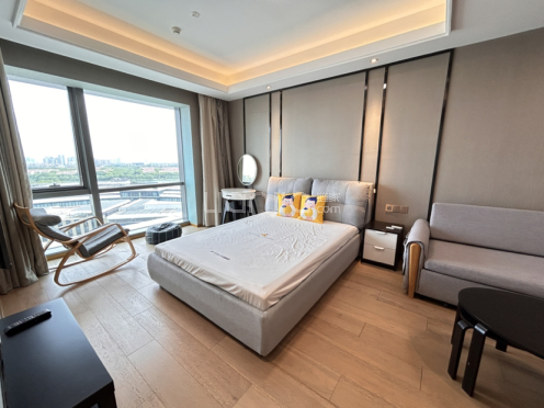 整租·丰隆城市中心 1室1厅 南