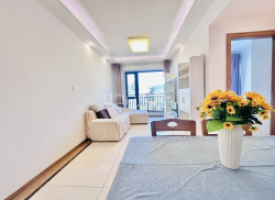 整租·IMC国际广场 1室1厅 北_IMC国际广场租房