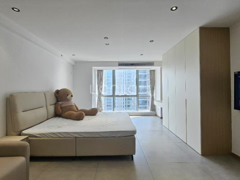 整租·云玺湖滨 1室1厅 南