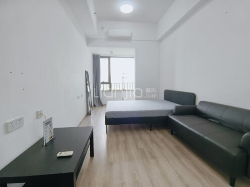 整租·智慧广场 1室1厅 西北