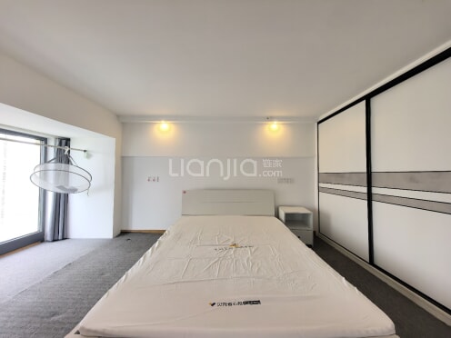 整租·星光耀商务中心 1室1厅 南