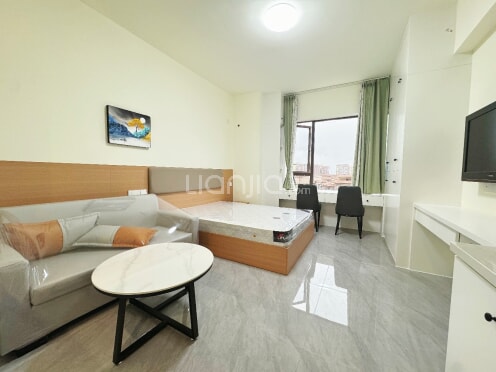 整租·置信逸都城 1室0厅 南