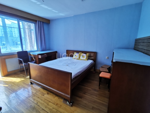 整租·柏庐新村 1室1厅 南/北