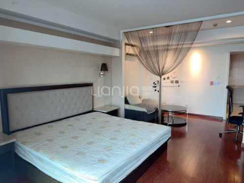 整租·雅都大厦 1室1厅 南