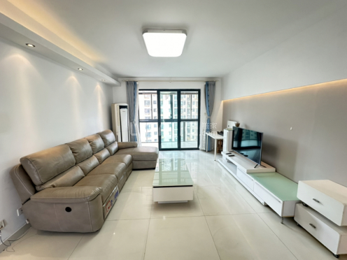 整租·中天湖畔花园 3室2厅 南