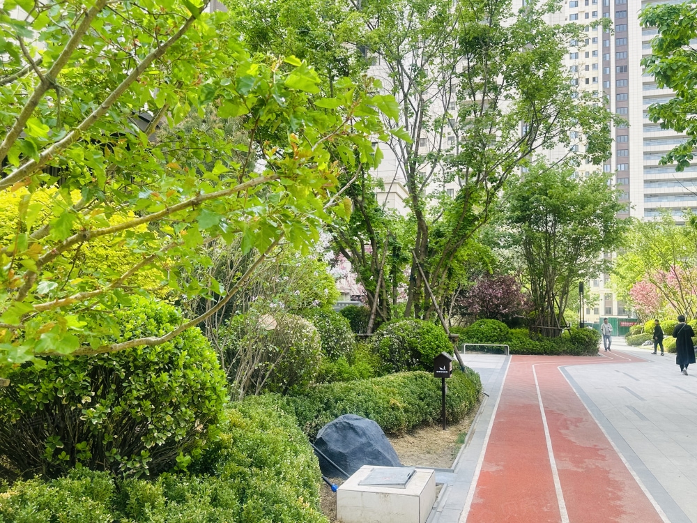 盛奥利嘉实景图
