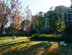 运河宝龙观邸实景图