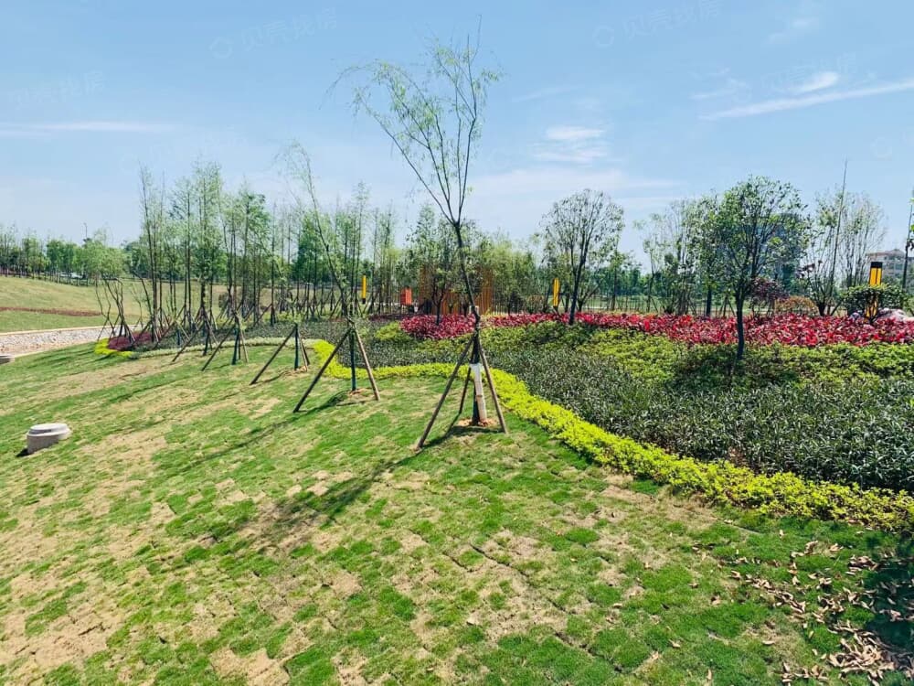 【信丰翡翠华府_石家庄信丰翡翠华府楼盘】房价,户型,开盘时间详情