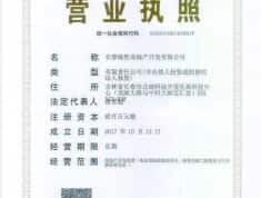 中海龙玺开发商营业执照