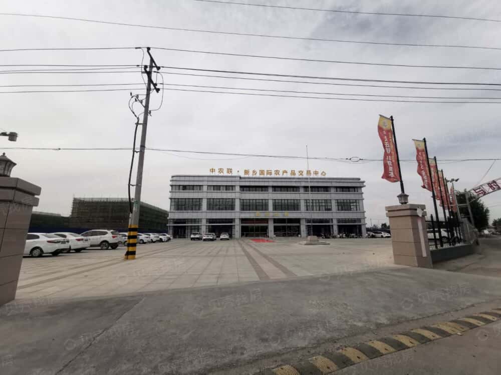 中农联·新乡国际农产品交易中心项目现场