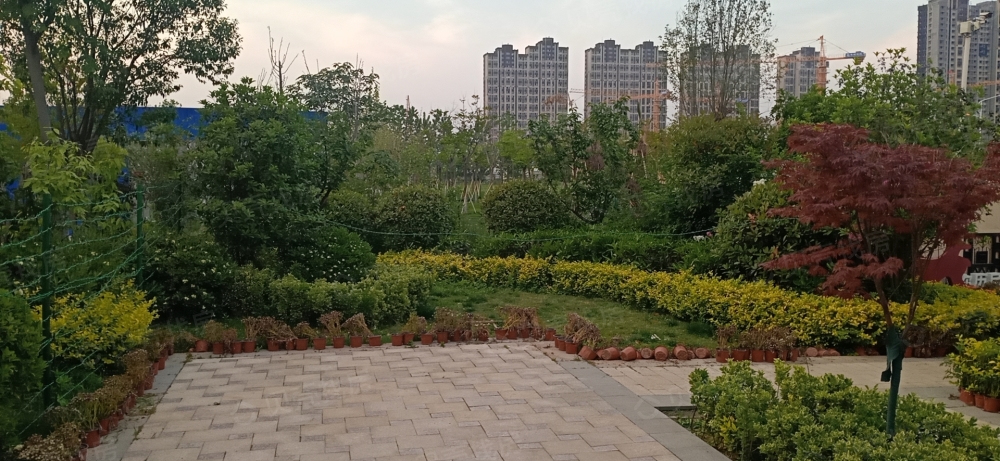 周口天明城相册