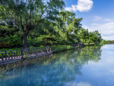 龙湾别墅实景图