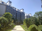 兴忠南湖御景实景图